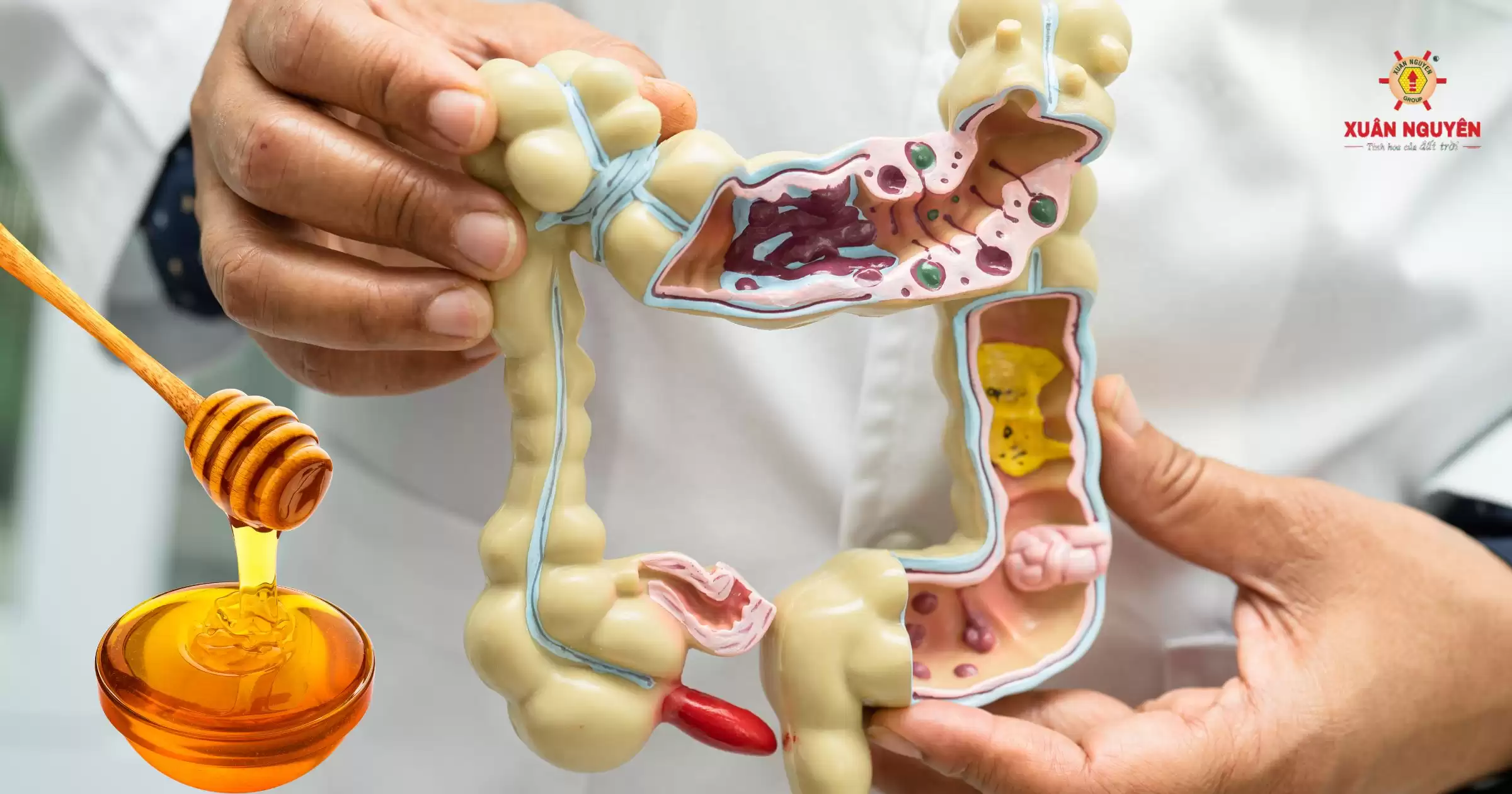 Lợi ích trong hỗ trợ tiêu hóa của mật ong nguyên chất