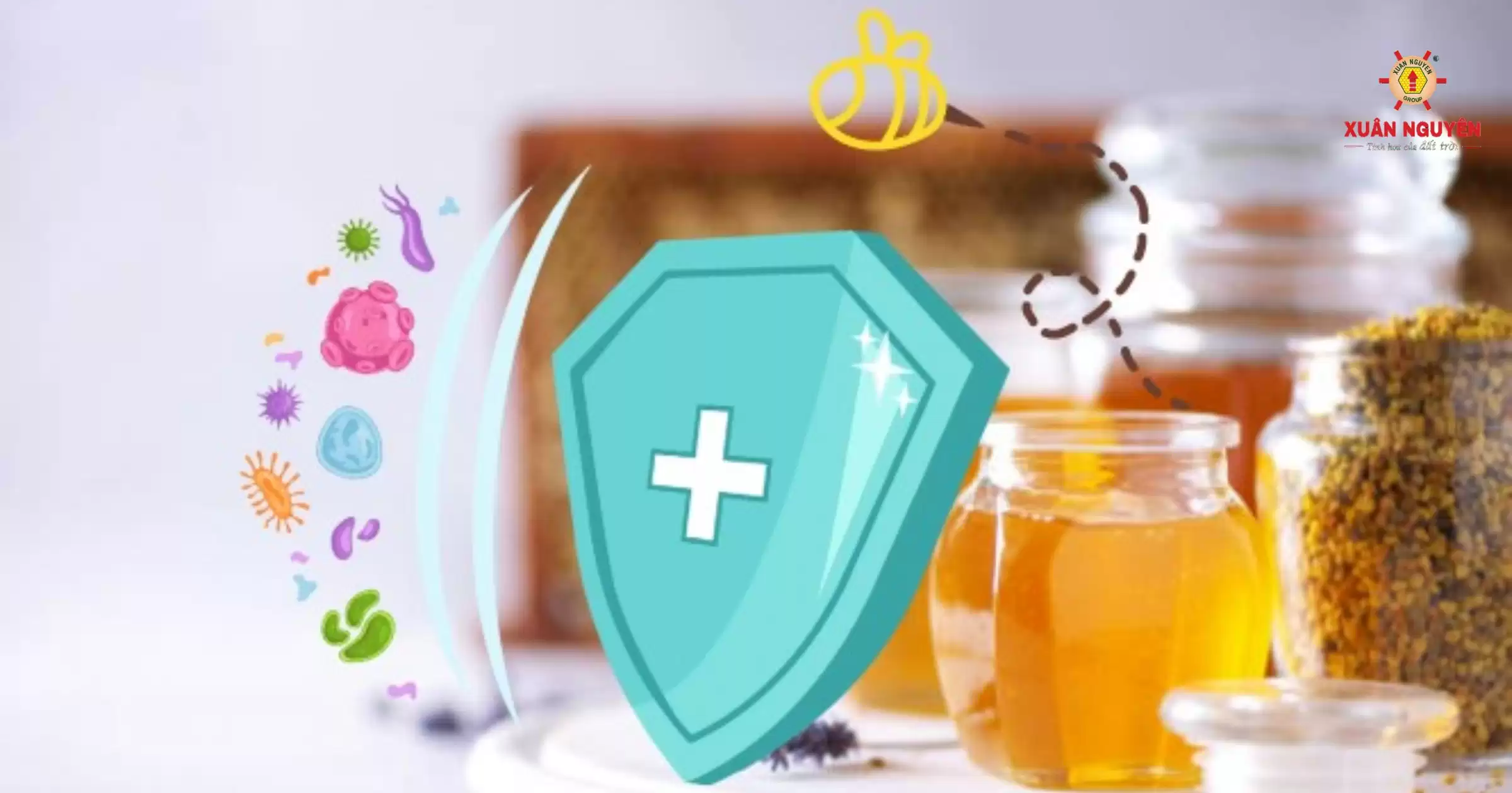 Mật ong và những công dụng tuyệt vời đối với sức khỏe