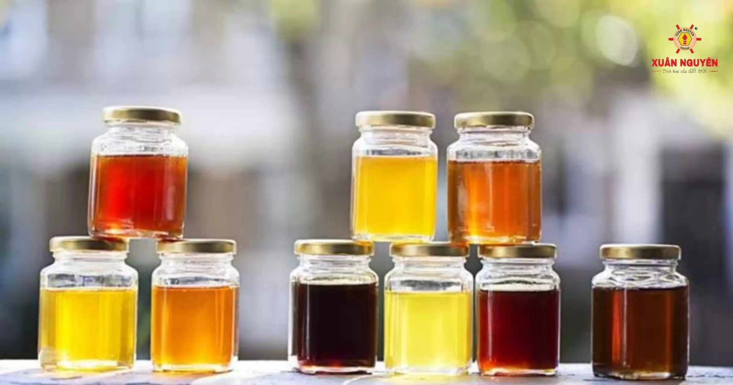 TOP 5+ cách phân biệt mật ong rừng và mật ong nuôi (2)