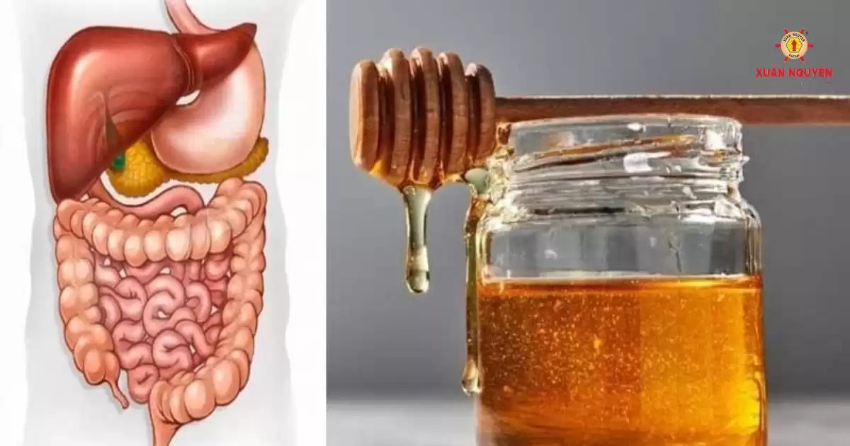 5+ tác dụng thần kỳ của mật ong dú đối với sức khỏe con người (3)