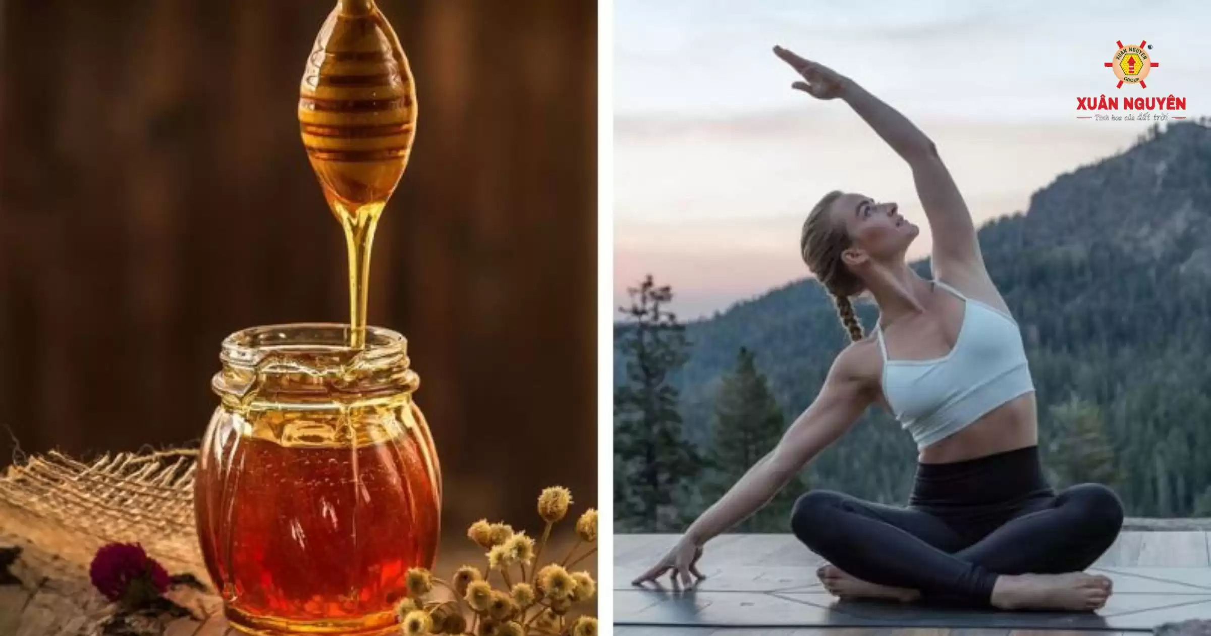 Bật mí 8+ lợi ích tuyệt vời của mật ong hoa nhãn (2)