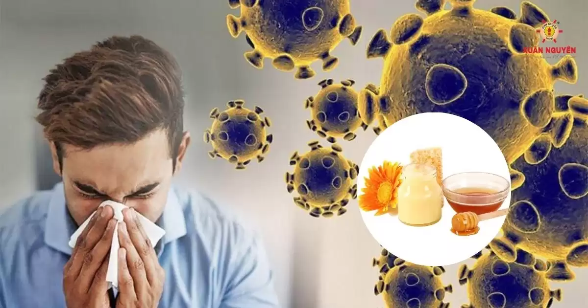 Mật ong rừng sữa ong chúa