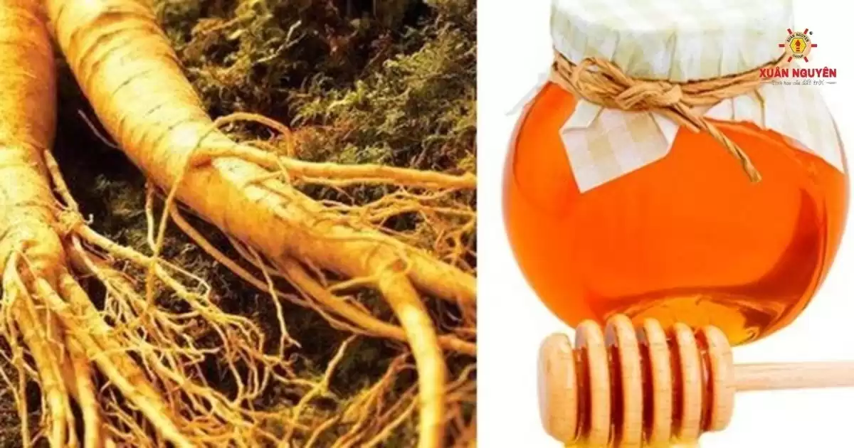 Nhân sâm ngâm mật ong bao lâu thì dùng được