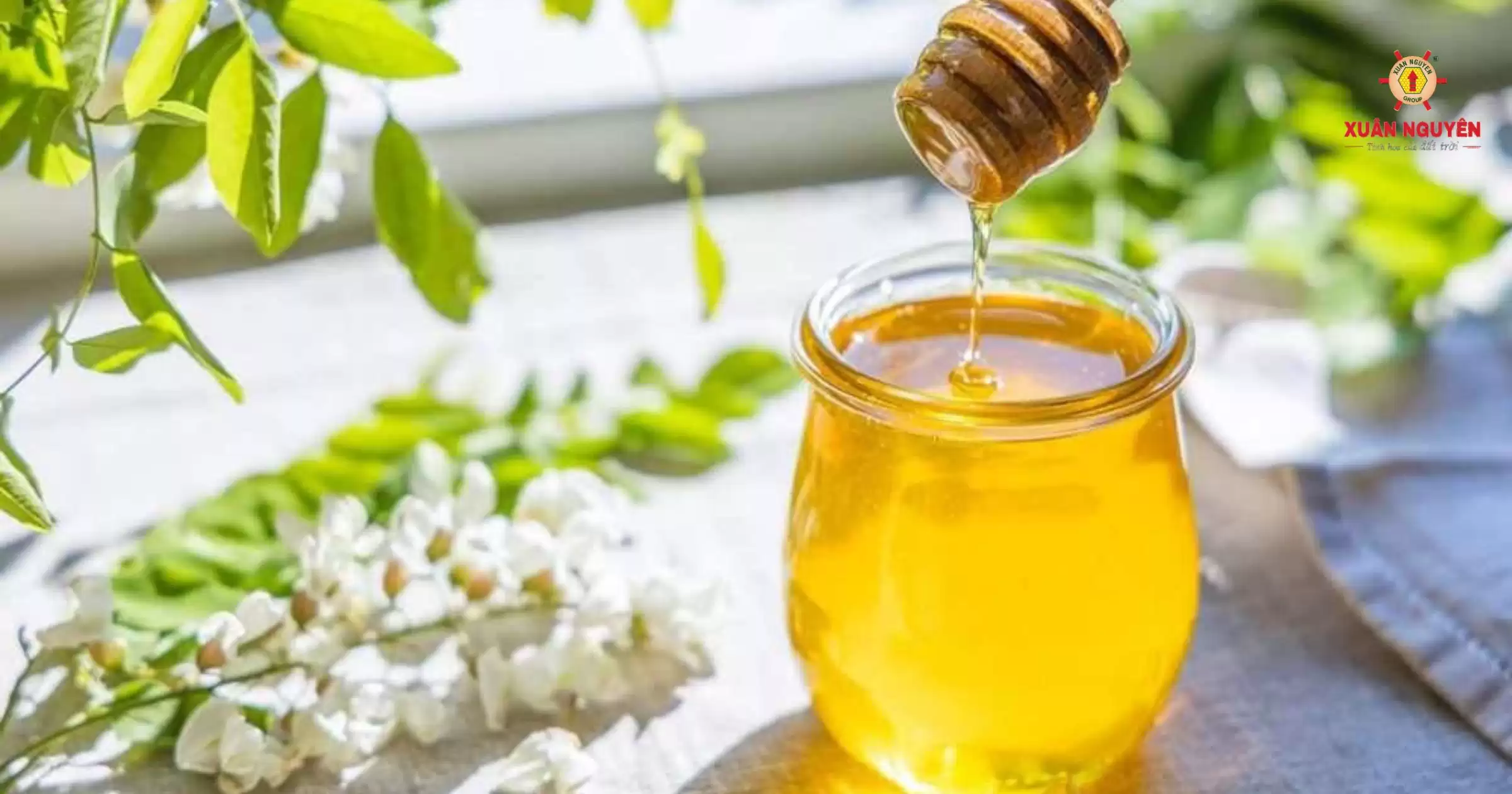 Tìm hiểu về mật ong bạc hà