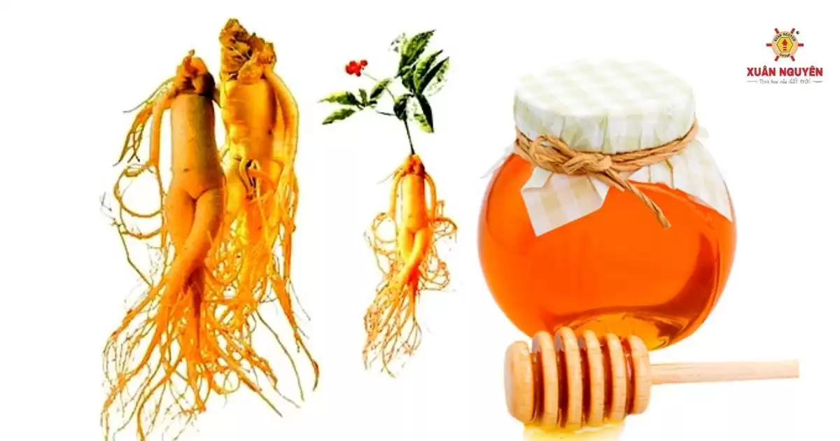 mật ong nhân sâm
