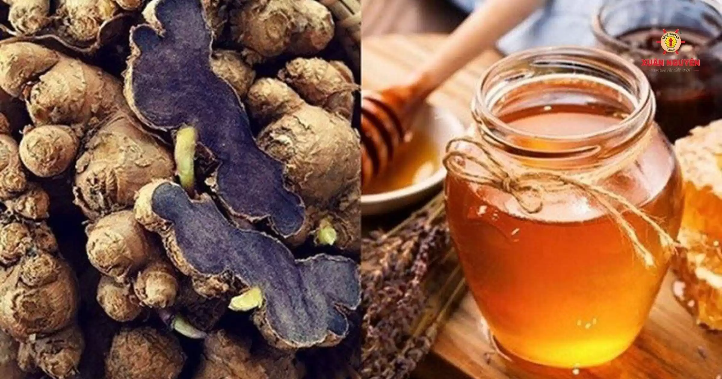 nghệ đen mật ong