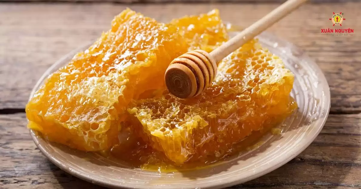 mật ong rừng tràm-2