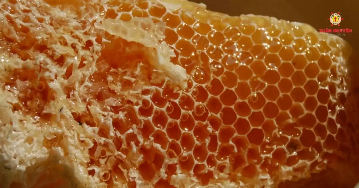 mật ong rừng u minh-3