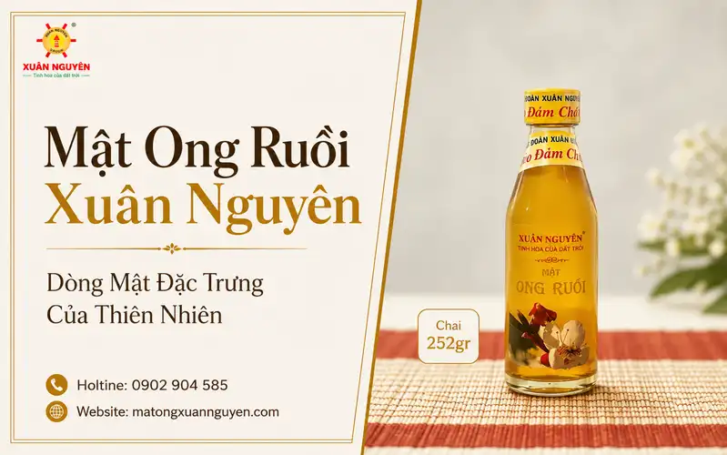 Mật ong ruồi Xuân Nguyên có rất nhiều công dụng trong hỗ trợ sức khỏe cũng như chế biến thực phẩm