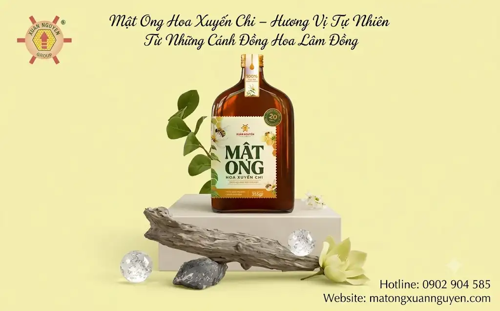 Mật Ong Hoa Xuyến Chi được khai thác từ nguồn hoa Xuyến Chi tại Lâm Đồng