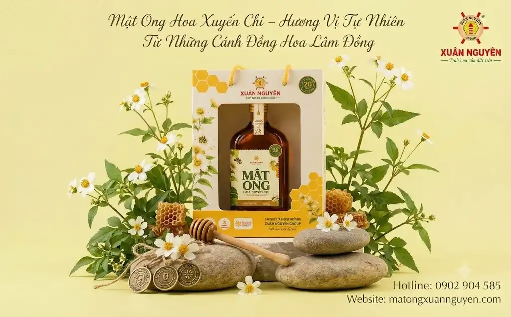 Mật Ong Hoa Xuyến Chi Xuân Nguyên mang đến một dòng mật có đặc trưng riêng về nguồn nguyên liệu, hương vị và thành phần tự nhiên